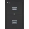 FireKing® 2-Drawer Vertical File Cabinet, Letter, Black, 32"D (2P1831CBLI)