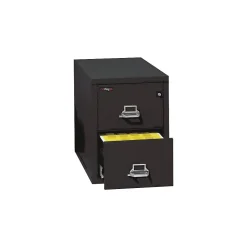 FireKing 1-Hour 2-Drawer Fire Resistant Vertical Cabinet, Legal-Size, Black, Inside Delivery (22131CBLI)