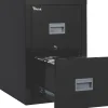 FireKing Patriot 2-Drawer Vertical File Cabinet, Letter/Legal Size, Lockable, 27.75"H x 17.68"W x 25"D, Black (2P1825CBLI)