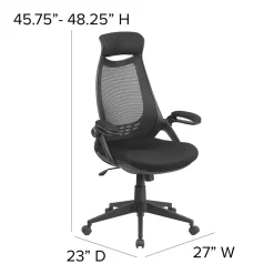 Flash Furniture Ivan Ergonomic Mesh Swivel High Back Executive Office Chair, Black (HL0018)