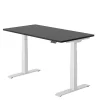 FlexiSpot E7 Series 60"W Electric Adjustable Standing Desk, Black/White (E7W6024B)