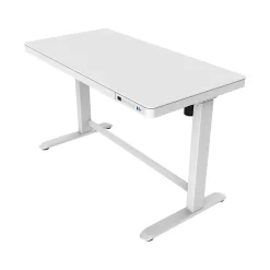 FlexiSpot EW8 48"W Rectangular Adjustable Metal Standing Desk, White (EW8W)