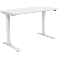 FlexiSpot 48"W Electric Adjustable Standing Desk, White (EC9W)
