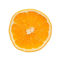 Fresh Premium Seedless Oranges, 8 lbs. (11025)