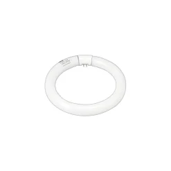 GE 22 Watt Cool White 8" Diameter T-9 Circline Fluorescent Tube (33774)