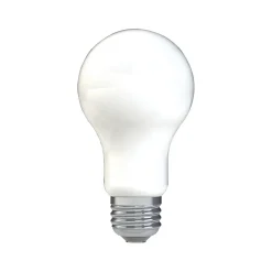GE 9 Watt Soft White LED General-Purpose Bulb, 2/Pack (93109032)