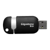 Gigastone 8GB USB 2.0 Type A Flash Drive, Black/Silver (GS-Z08GCNBL-R)