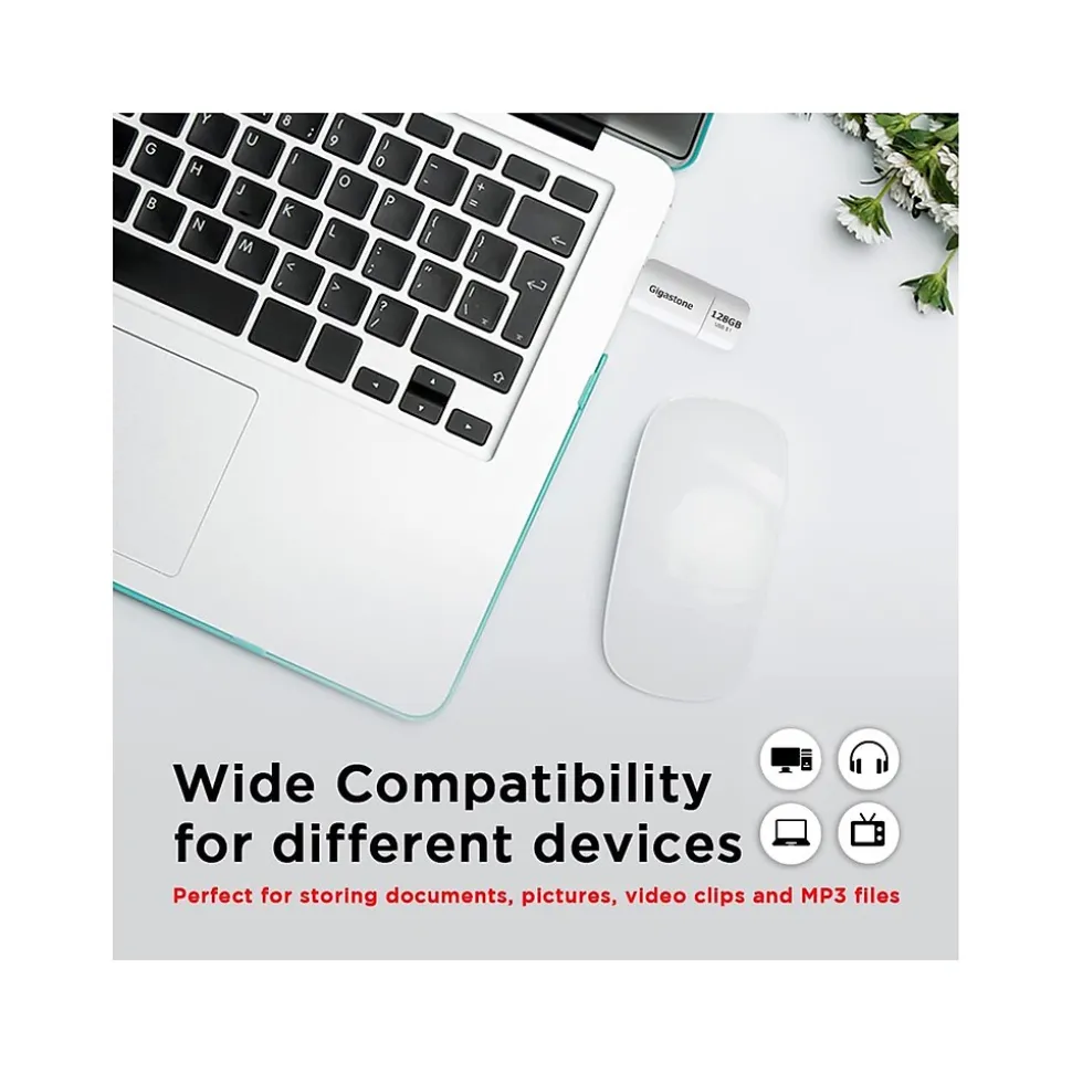 Gigastone 128GB USB 3.1 Type-A Flash Drive, White (GS-U3128GBWH-BC)