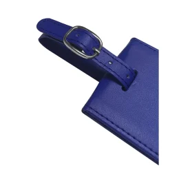 GoGreen Power Travergo Luggage Tag, Blue (TR1260BL)