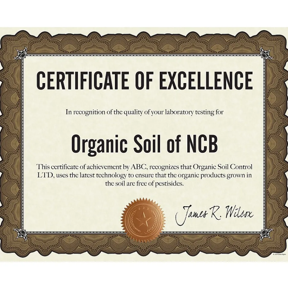 Great Papers Cambridge Certificates, 8.5" x 11", Beige/Gold, 10/Pack (2020004)