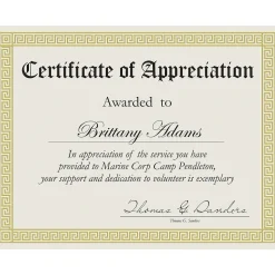 Great Papers Channel Border Foil Certificates, 8.5" x 11", Beige/Gold, 15/Pack (963007)