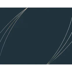 Great Papers Petal Touch Certificate Holders, 9.34" x 12", Midnight Blue, 5/Pack (2019001)