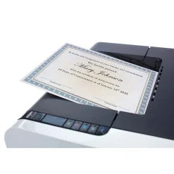 Great Papers Westminster Certificate Set, 8.5