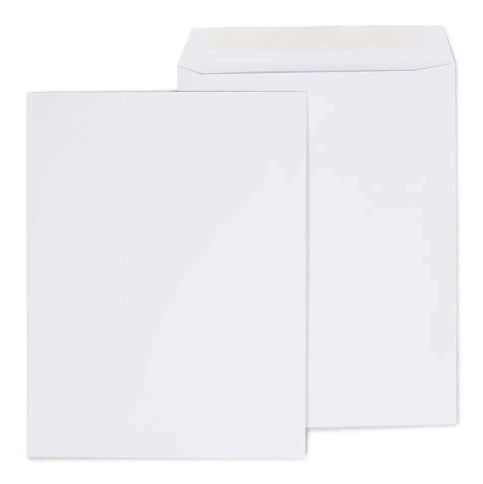 Gummed Catalog Envelopes, 10"L x 13"H, White, 250/Box (486954/17040)
