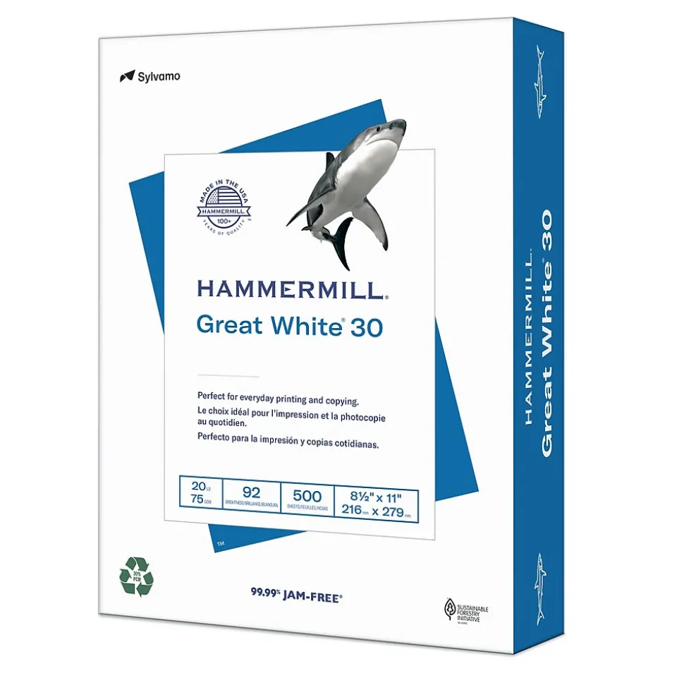 Hammermill Great White 30% Recycled 8.5" x 11" Copy Paper, 20 lbs., 92 Brightness, 500 Sheets/Ream (86700)