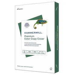 Hammermill Premium 11" x 17" Color Copy Paper, 60 lbs., 100 Brightness, 250 Sheets/Pack (122556)