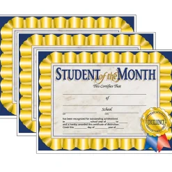 Hayes Achievement Certificates, 8.5" x 11", Multicolor, 3/Bundle (H-VA528-3)