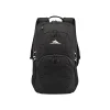 High Sierra Swoop SG Laptop Backpack, Black (1303601041)
