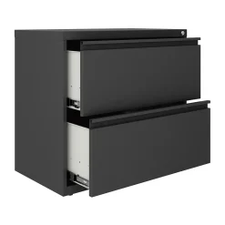 Hirsh Lateral 101 2-Drawer Lateral File Cabinet, Letter/Legal Size, Lockable, 27.75