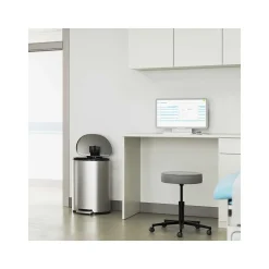 HLS Commercial Stainless Steel Trash Can with Hinged Lid, 13.2-Gallon, Silver (HLSS13DFR)