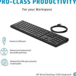 HP Desktop 320K Wired Keyboard (9SR37AA#ABA)
