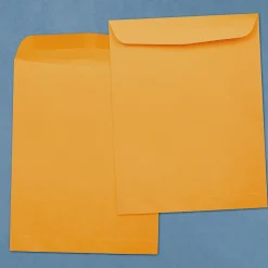 JAM Paper #15 1/2 Catalog Envelope, 12