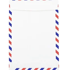 JAM Paper 6 x 9 Airmail Open End Catalog Envelopes, White, 50/Pack (1430743I)