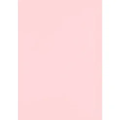JAM PAPER 12" x 18" Cardstock, Candy Pink, 50/pack (1218-C-14-50)