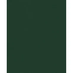 JAM PAPER 8.5" x 11" Color Cardstock, Green Linen, 50/pack (81211-C-GNLI-50)