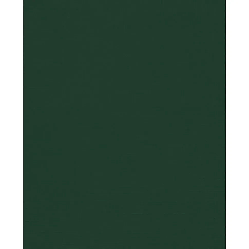 JAM PAPER 8.5" x 11" Color Cardstock, Green Linen, 50/pack (81211-C-GNLI-50)