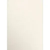 JAM Paper 13" x 19" Color Multipurpose Paper, 80 lbs., Champagne Metallic, 50 Sheets/Ream (1319-P-CHAM-50)