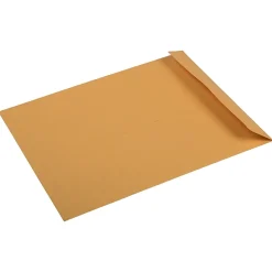 JAM PAPER 10 x 13 Kraft Open End Catalog Premium Envelopes, Manila, Bulk 250/Box (96268H)