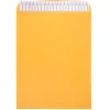 JAM Paper 11.5 x 14.5 Kraft Open End Catalog Envelopes with Peel and Seal Closure, Brown Kraft Manila, Bulk 500/Box (13034235c)