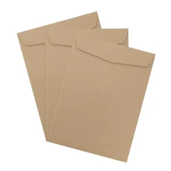 JAM Paper 10 x 13 Kraft Open End Catalog Envelopes, Brown Kraft Paper Bag, 100/Pack (6315603)