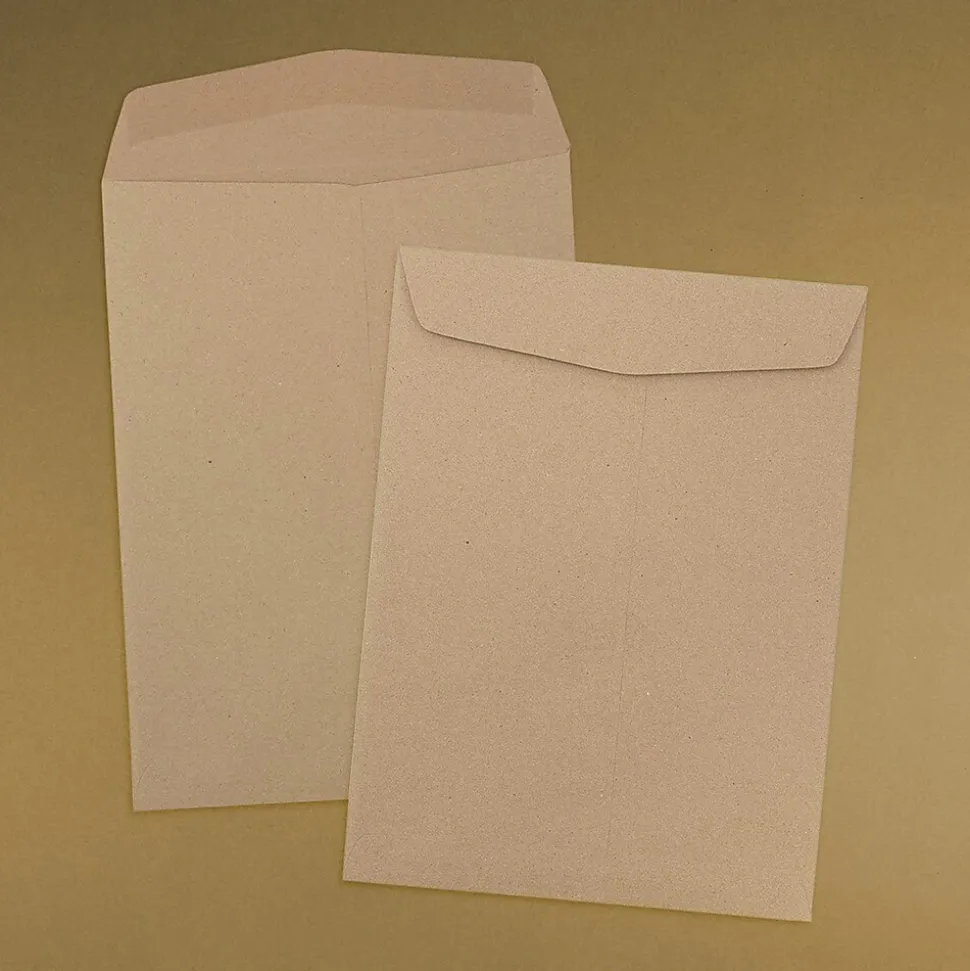 JAM Paper 10 x 13 Kraft Open End Catalog Envelopes, Brown Kraft Paper Bag, 100/Pack (6315603)