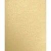 JAM Paper 8.5” x 11” Multipurpose Paper, Gold, 50/Pack (81211-P-M07-50)