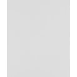 JAM Paper 8.5” x 11” Multipurpose Paper, Gray, 50/Pack (81211-P-SG-50)