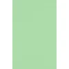 JAM Paper 11" x 17" Multipurpose Paper, 60 lbs., Pastel Green, 50/Pack (1117-P-67-50)