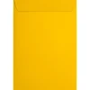 JAM Paper 6 x 9 Open End Envelopes, Sunflower Yellow, 50 Pack (EX1644-12-50)