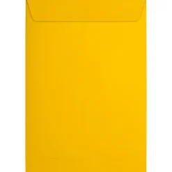 JAM Paper 6 x 9 Open End Envelopes, Sunflower Yellow, 50 Pack (EX1644-12-50)