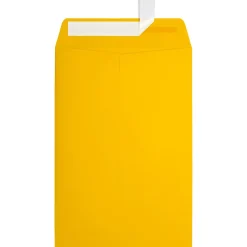 JAM Paper 6 x 9 Open End Envelopes, Sunflower Yellow, 50 Pack (EX1644-12-50)