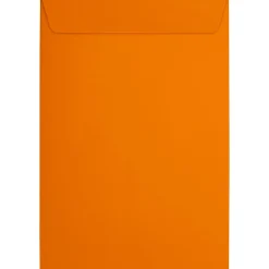 JAM Paper 6 x 9 Open End Envelopes ,Mandarin Orange, 50 Pack, Orange (EX1644-11-50)