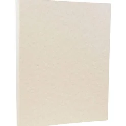 JAM PAPER 8.5" x 11" Parchment Cardstock, 65lb, Pewter Silver, 100/pack (96600800G)