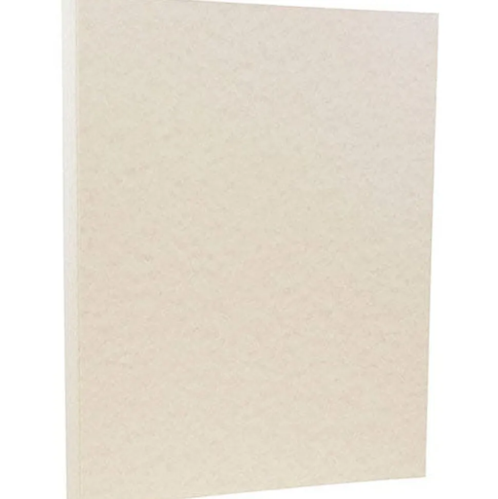 JAM PAPER 8.5" x 11" Parchment Cardstock, 65lb, Pewter Silver, 100/pack (96600800G)