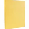 JAM PAPER 8.5" x 11" Vellum Bristol Cardstock, 67lb, Light Orange, 100/pack (169821G)