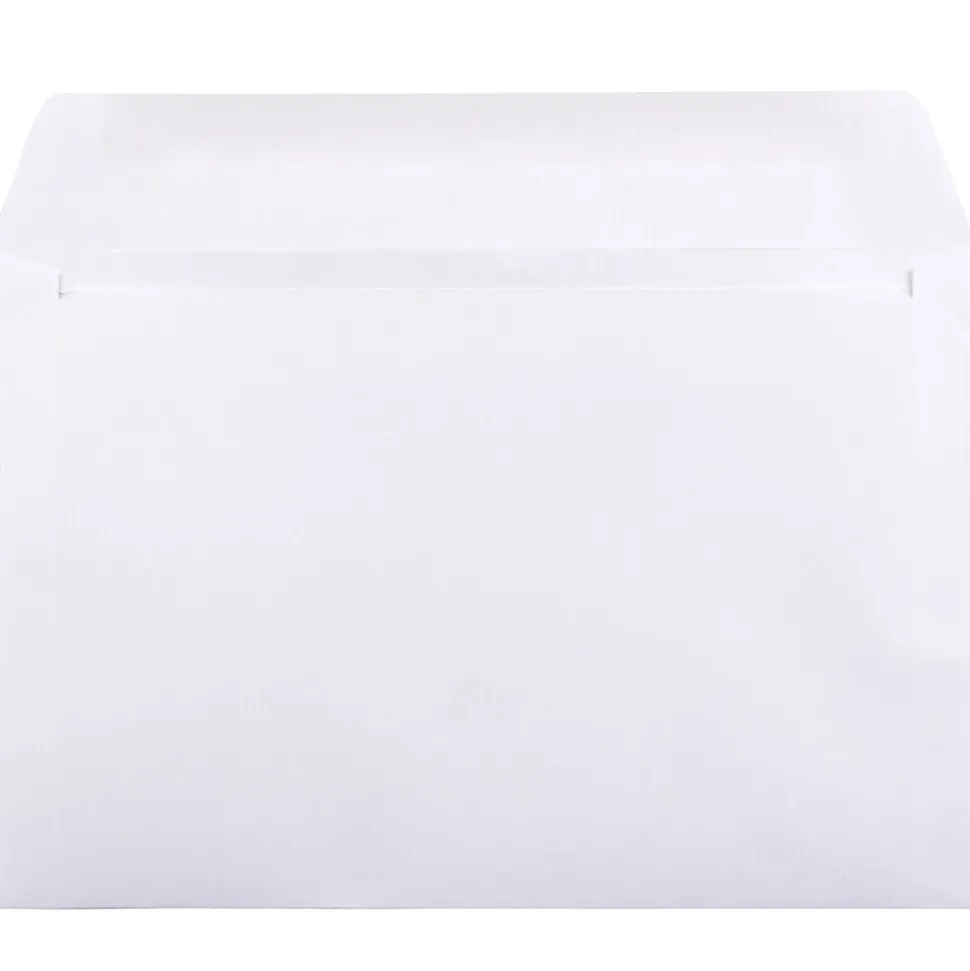 JAM Paper Booklet Commercial Envelopes, 6" x 9", White, 50/Pack (4238i)