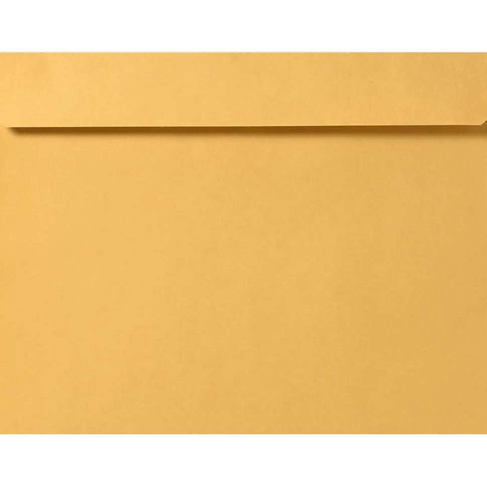 JAM Paper Booklet Envelope 10" x 13", Brown Kraft, 50/Pack (16162-50)