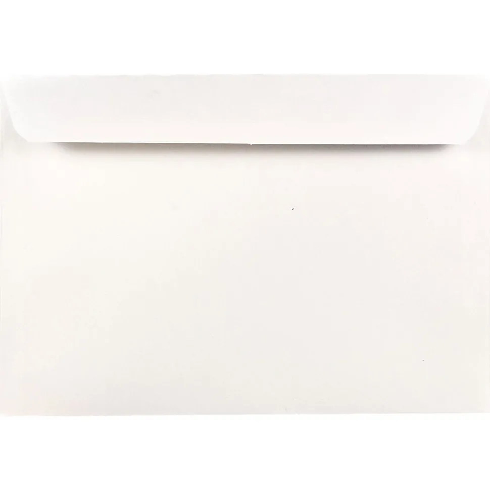 JAM Paper Booklet Envelope 6 1/2" x 9 1/2", White, 100/Pack (4241d)