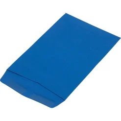 JAM Paper Catalog Envelope 6