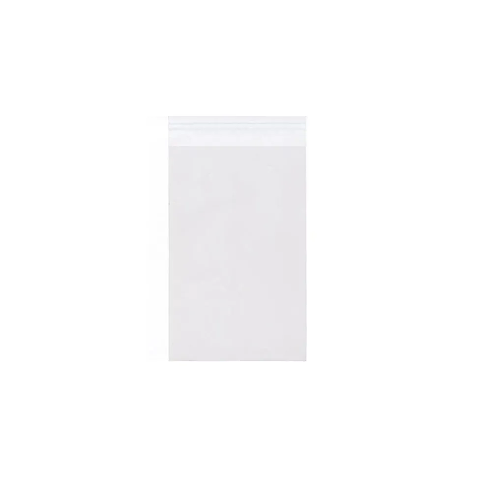 JAM Paper Cellophane Envelope with Peel & Seal Closure, 9.25 x 12.25, Clear, 100/Pack (9.25X12.25CELLO)